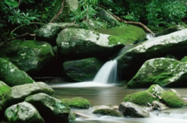 Buy Cascade, Great Smoky Mountains National Park