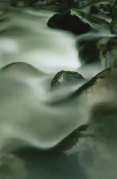 Buy Close-up of water over rocks