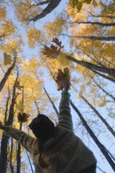 Buy Girl throws leaves in the air to celebrate autumn
