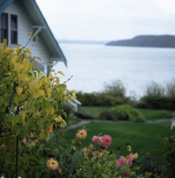 Buy View of Puget Sound