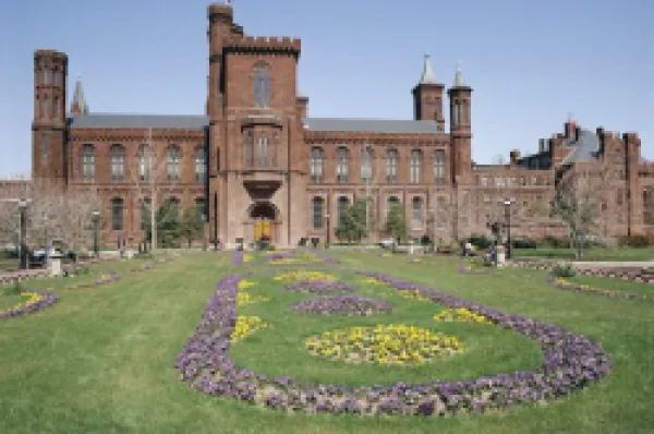 Buy Old Smithsonian Institute, Washington D