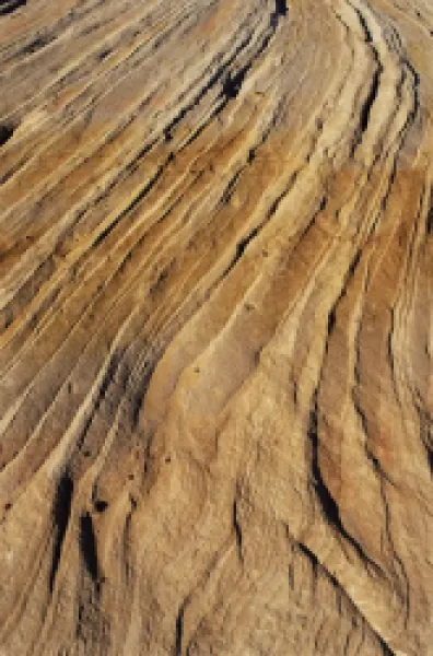 Buy Slickrock, Zion National Park