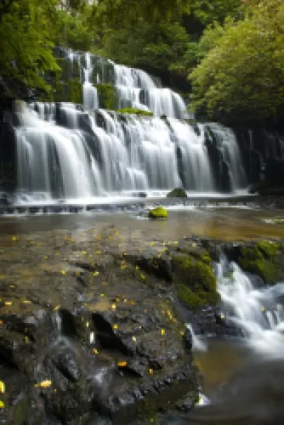 Buy New Zealand, Southland, The Catlins. Purakaunui Falls surrounded by native woodland and bush in the Catlins Forest Park.