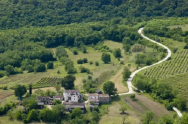Buy Croatia, Istria, Motovun, Countryside landscape