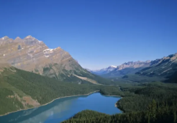 Buy Peyto Lake