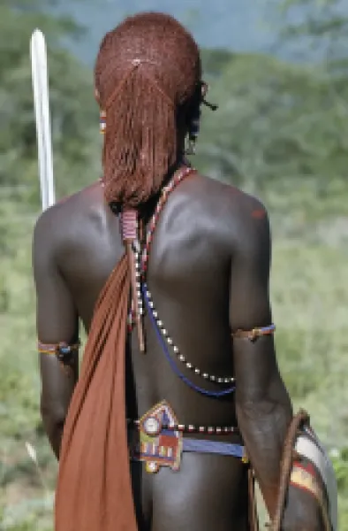 Buy A back view of a Maasai warrior resplendent with long