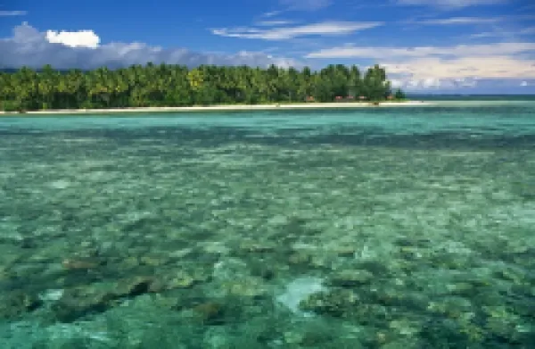Buy Indonesia, Sulawesi, Banggai Islands