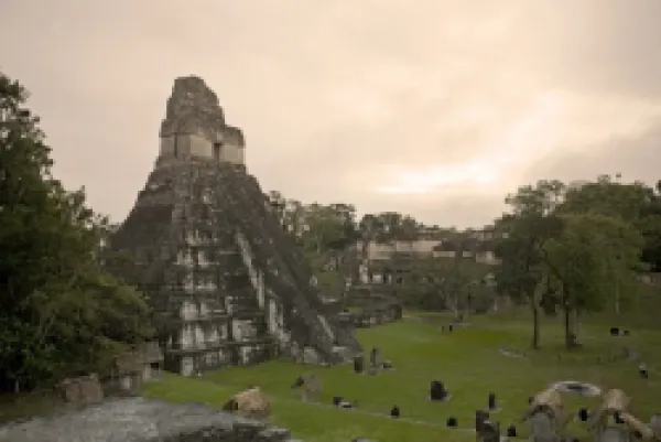 Buy Tikal Pyramid ruins (UNESCO site)