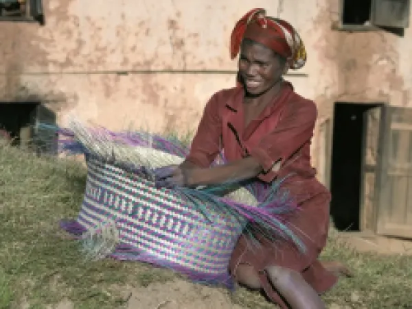 Buy A Malagasy woman weaves a basket from raffia palm