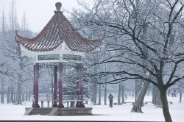 Buy China, Shandong Province, Qingdao, Old Town, Luxun Park pagoda