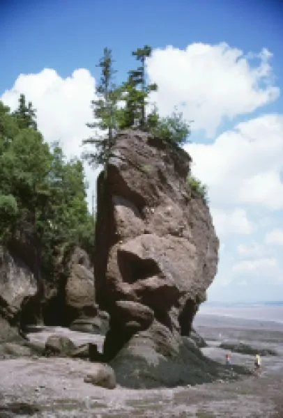 Buy SR-6845A<br>CANADA - eroded rock - Flower Pot Rock, at low tide. Eroded by world's highest bay of Fundy tides