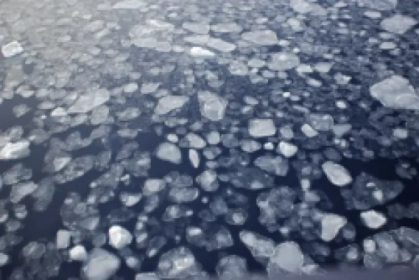 Buy WAT-13667<br>Pack Ice in Antarctica - Pancake Ice