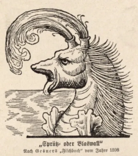 Buy SPOUTING SEA MONSTER