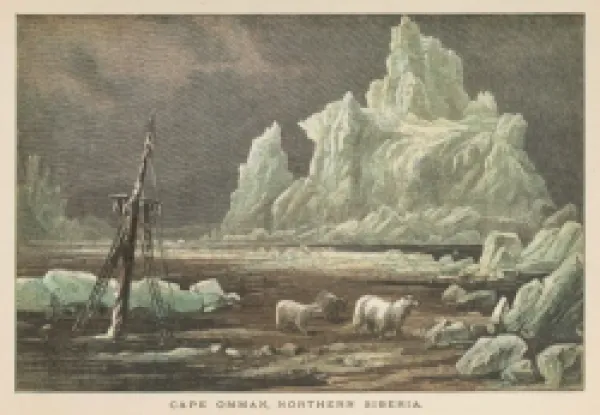 Buy ICY SIBERIAN COAST