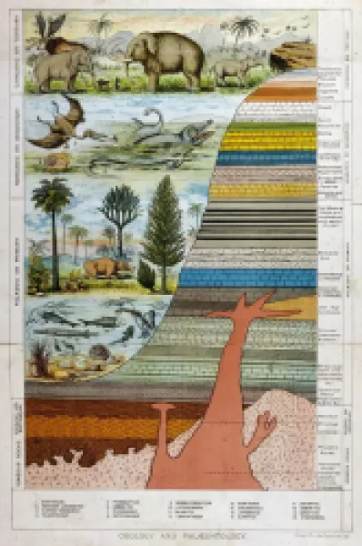 Buy GEOLOGICAL STRATA 19C