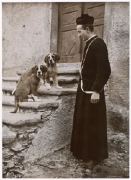 Buy ST BERNARD PRIOR & DOGS
