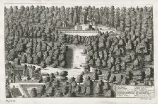 Buy BOSCOBEL WOODS 1651