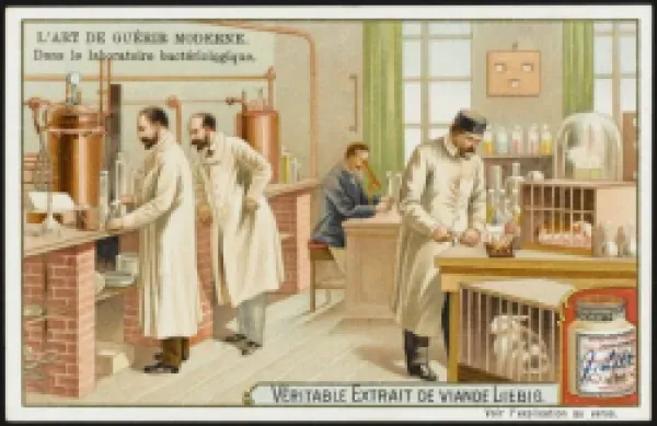 Buy TESTING ON ANIMALS