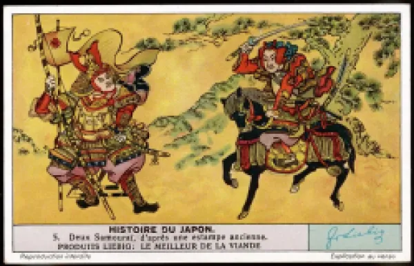 Buy SAMURAI ELEVATED