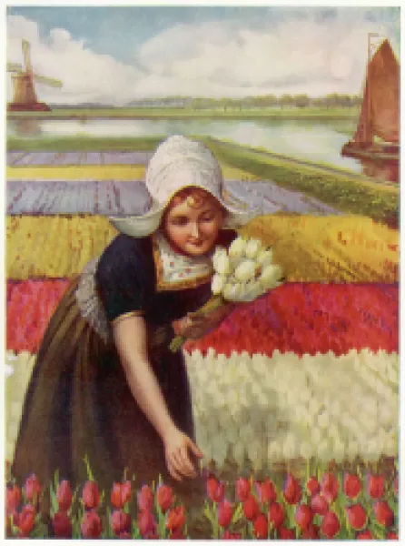 Buy DUTCH GIRL & TULIPS