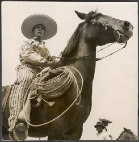 Buy BRAZILIAN GAUCHO
