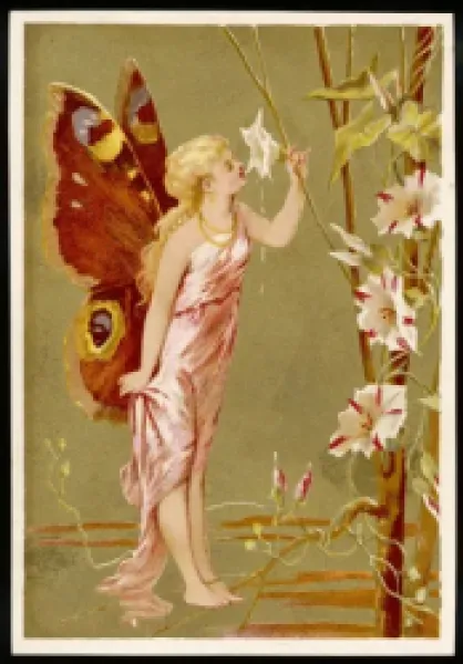 Buy FAIRY SMELLING A FLOWER