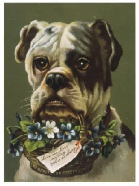 Buy DOG AND FLOWER BASKET