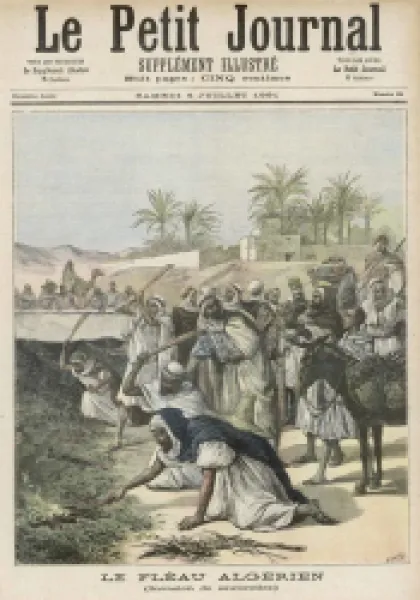 Buy LOCUST PLAGUE ALGERIA