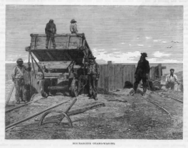Buy PERU/GUANO/WAGONS/C19TH