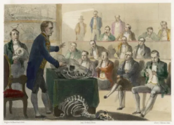 Buy CUVIER LECTURING