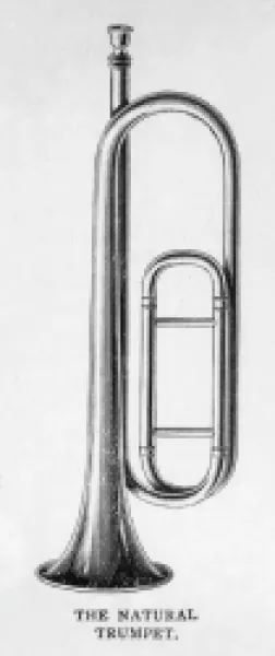 Buy NATURAL TRUMPET ON OWN