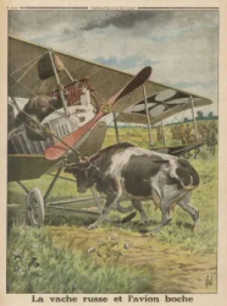 Buy PLANE MEETS COW
