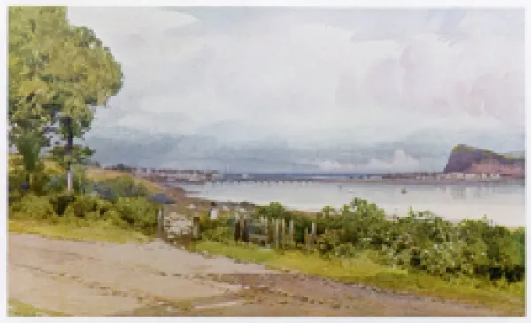 Buy TEIGNMOUTH/SHALDON 1914