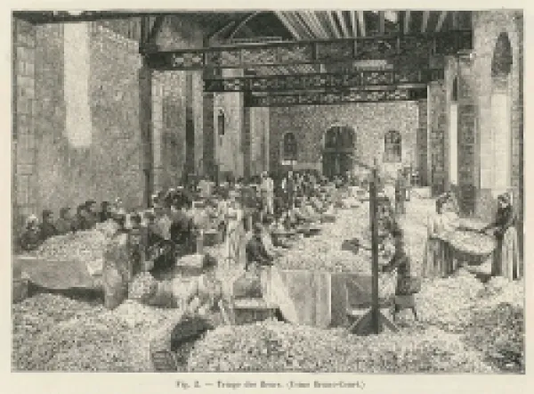 Buy PERFUME MANUFACTURE/1898