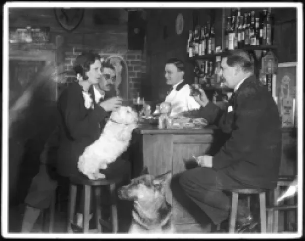 Buy DOGS CLUB COCKTAIL BAR