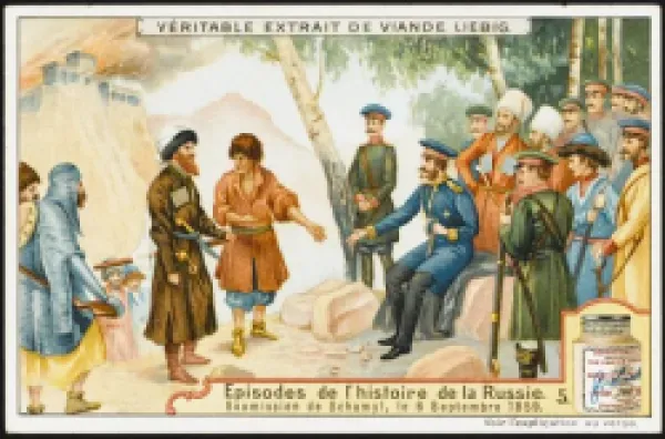 Buy 1859/SHAMIL SURRENDERS