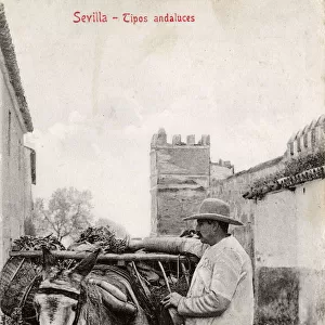 Andalucian Man with his laden donkey - Seville, Spain