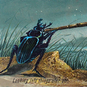Beetle with telescope on a New Year card