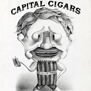Capital Cigars Prime Tobacco