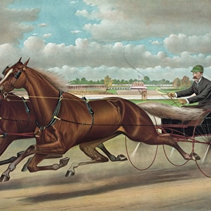 The celebrated trotting Team Edward and Swiveller