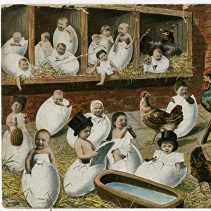 Children Hatch out 1905