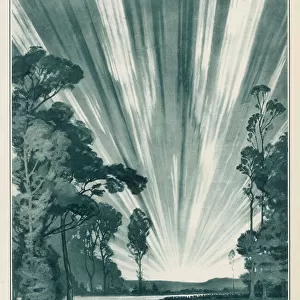 Comet August 1921