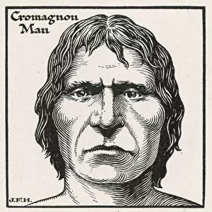 Cro-Magnon / Homo Sapiens