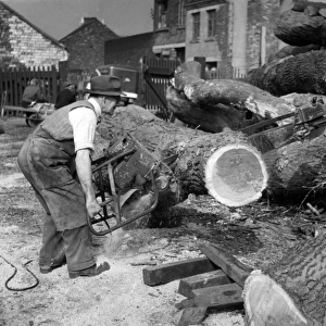 Cutting Huge Logs