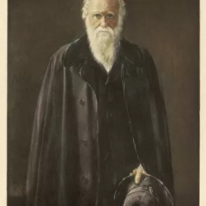 Darwin (Collier)
