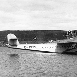 Dornier DoX-1b D-1929 visiting Holyrood Newfoundland