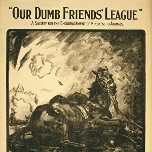 Our Dumb Friends League. A society for the encouragement of