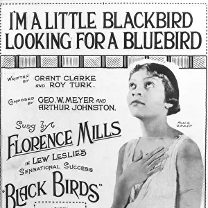 Florence Mills sheet music cover - I m a Little Blackbird