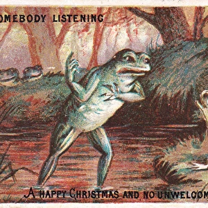 Frogs on a riverbank on a Christmas card