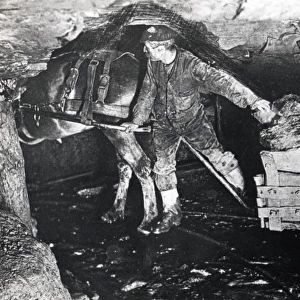 Haulier and horse in a South Wales mine
